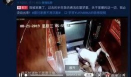 小区爆料家暴事件视频大全,触目惊心的家庭悲剧